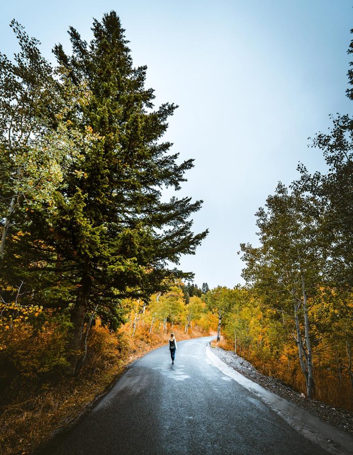 A person walking along a winding road surrounded by vibrant autumn foliage, showcasing the beauty of nature. This serene setting highlights the importance of security and peace of mind, often provided by a reliable locksmith.